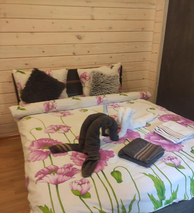 Карпати Котедж Анастасія Hotel Skole Room photo